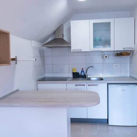 Apartma Bohinjski Koticek 博希尼
