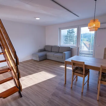 公寓 Apartma Bohinjski Koticek 博希尼
